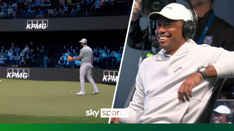 仅显示了贝 仅显示了贝